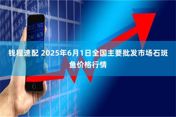 钱程速配 2025年6月1日全国主要批发市场石斑鱼价格行情