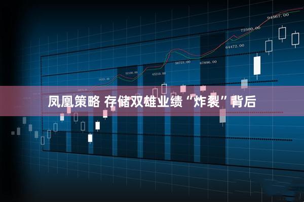凤凰策略 存储双雄业绩“炸裂”背后