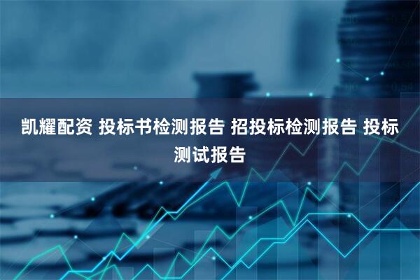 凯耀配资 投标书检测报告 招投标检测报告 投标测试报告